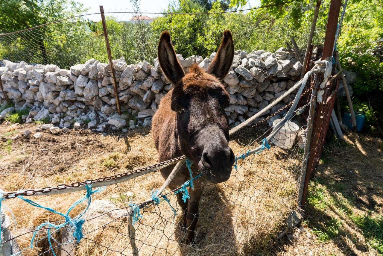 Authentic Camping Dalmatia Pirovac Kültér fotó