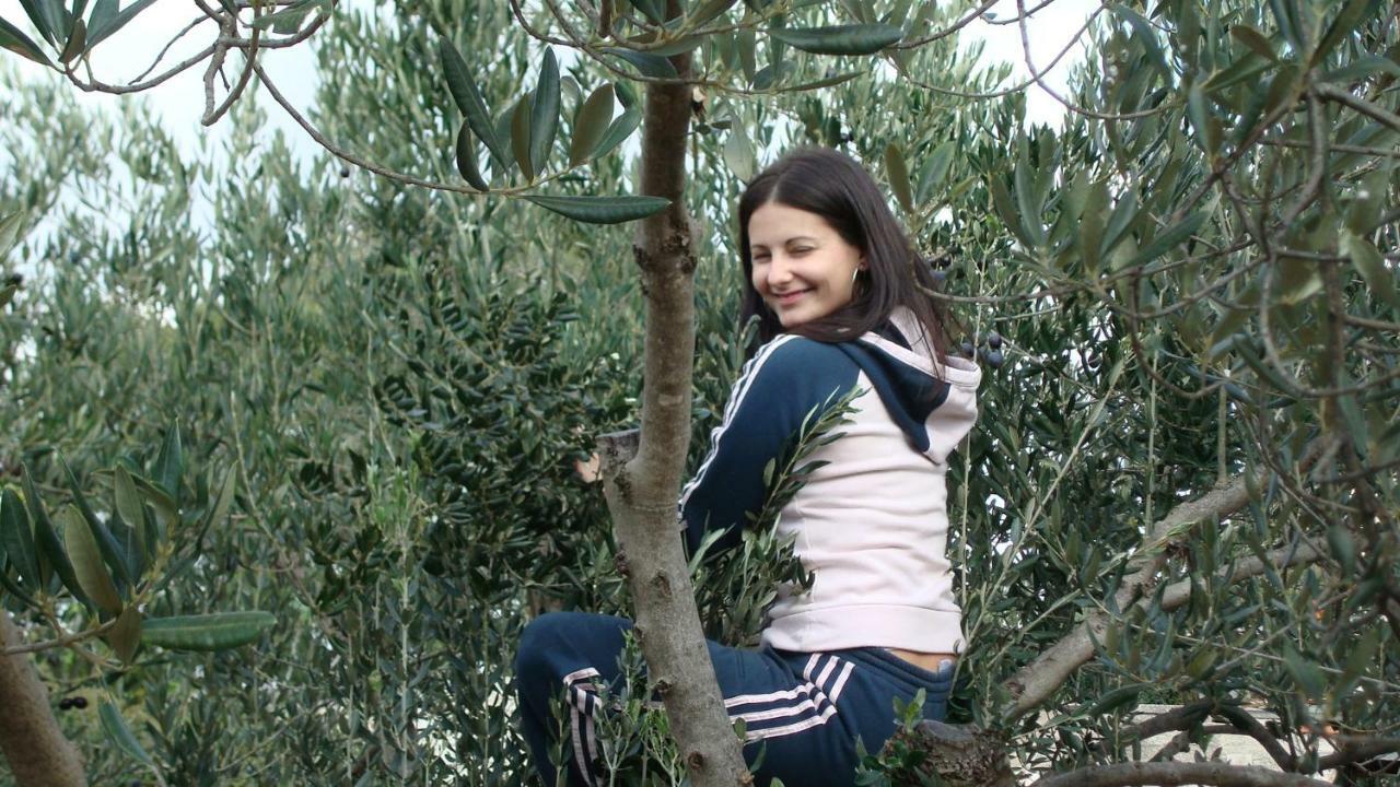 Authentic Camping Dalmatia Pirovac Kültér fotó