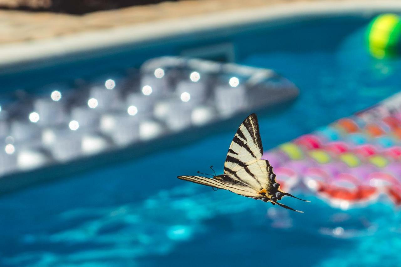 Authentic Camping Dalmatia Pirovac Kültér fotó